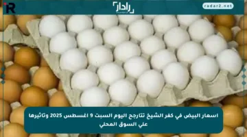 أسعار البيض في كفر الشيخ تتأرجح اليوم السبت 9 أغسطس 2025 وتأثيرها على السوق المحلي
